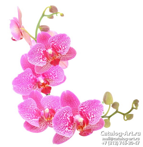 картинки для фотопечати на потолках, идеи, фото, образцы - Потолки с фотопечатью - Розовые орхидеи 77